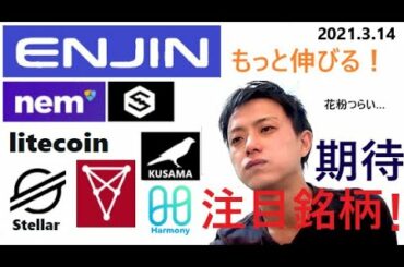 仮想通貨エンジンコイン,NEM,IOST,LTC,ステラルーメン,CHZ,KSM,ONE2021 3 14銘柄分析