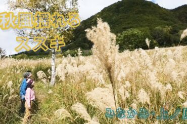 【ドローン空撮】秋風に揺れるススキ草原　みなかみ町藤原・上ノ原「入会の森」