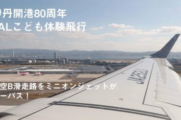 関空B滑走路をミニオンジェットがローパス