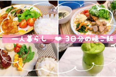 3日間の晩ご飯　ひたすら食べる食いしん坊