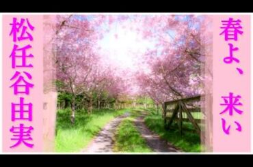 春よ、来い/松任谷由実 歌詞付き🌸高音質フル🎧(cover) Haruyo koi - Yumi Matsutouya🌸