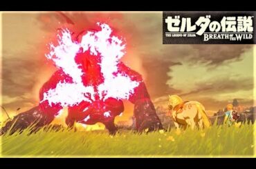 【魔獣ガノン戦　ハイラル平原　ラスボス】 攻略 ゼルダの伝説 ブレスオブザワイルド  "Dark Beast Ganon" BREATH OF THE WILD