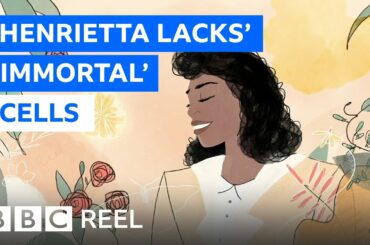 The woman with 'immortal' cells that changed the world - BBC REEL