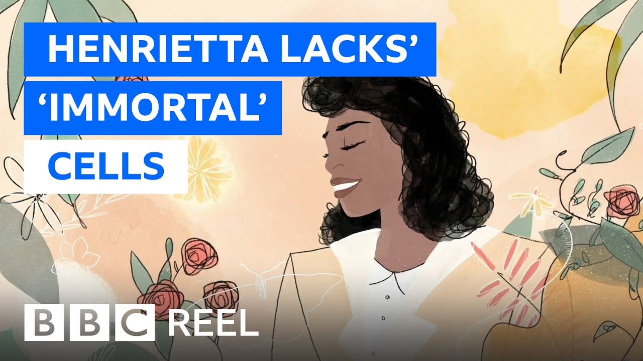 The woman with 'immortal' cells that changed the world – BBC REEL The woman with 'immortal' cells that changed the world - BBC REEL