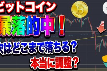 【仮想通貨】ビットコイン暴落！予想的中！次はここまで落ちる！