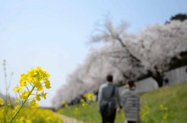 春よ、来い(松任谷由実)　歌・池田綾子
