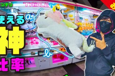 【誰も教えない】巨大ぬいぐるみ簡単にゲットできる黄金比！【クレーンゲーム攻略】
