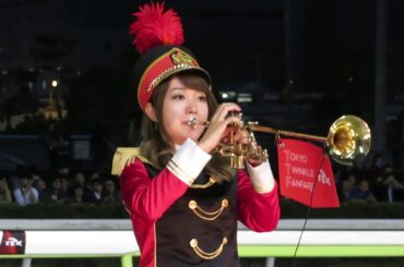 東京トゥインクルファンファーレ　大井9R　第１７回ＪＢＣクラシック　2017.11.3