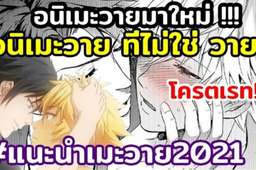 อนิเมะวายที่ไม่ใช่..วาย🔸แนะนำเเมะวาย2021🔸