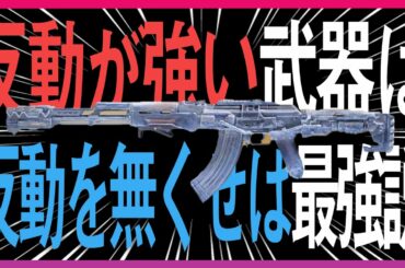 【CoD:MOBILE】反動が強い武器は反動を無くせば最強説！！？？【ひめ】