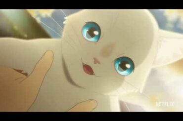 本予告『泣きたい私は猫をかぶる』【2020年6月18日(木)Netflixより全世界独占配信スタート！】