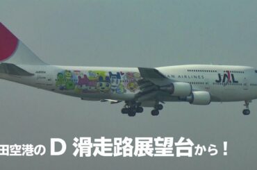 Dラン展望台って知ってます？ 滑走路工事真っ最中の羽田空港2008