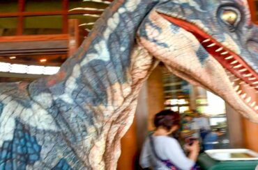 [USJ] ディスカバリー・レストランで大暴れした後、おとなしく帰っていくラプトル