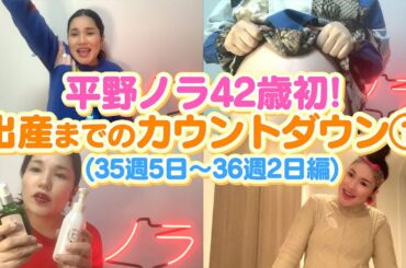 【平野ノラ42歳初】バブ子出産！までカウントダウン①（35週5日〜36週2日編）