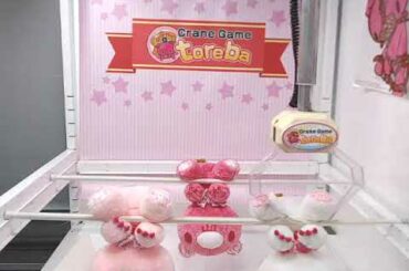 「チャックスＧＰ　いたずらぐまのグル～ミ～ぬいぐるみ　テディグリズリー【Ｓｐｒｉｎｇ　ｅｄｉｔｉｏｎ２０２０－ＳＡＫＵＲＡ－】　Ｂ.サクラホワイト」がとれました！