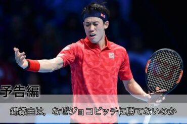 【予告編】錦織圭はなぜ，ジョコビッチに勝てなくなったのか 〜戦術的な観点から〜　【テニス戦術】