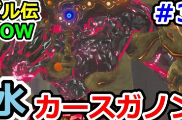 ゼルダの伝説ブレスオブザワイルドその3　カースガノン戦攻略！！！