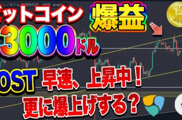 【仮想通貨】ビットコイン完全的中！爆益中！昨日上がったIOSTさらに爆上げする？