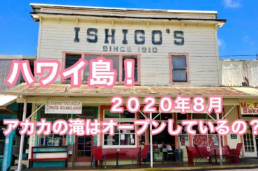 ハワイ島　アカカの滝 行きたい【 Is Akaka falls open? 】Hilo Bigisland Hawaii ハワイ島！ハワイアンキルト Vlog 動画ブログ 2020年8 月