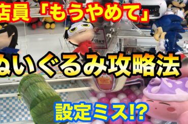 【クレーンゲーム】457 店員「もうやめて」ぬいぐるみ大量ゲットの攻略法!! 設定ミス台で乱獲!! UFOキャッチャー