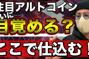 【ビットコイン＆QTUM＆IOST＆NEM＆ETH＆XRP】BTCは強気継続？爆上げ間近のアルトコイン分析アップデート！