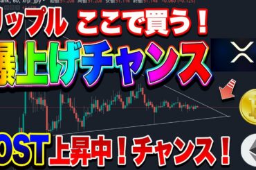 【仮想通貨】ビットコインまだ上昇するの？IOST上昇中！リップル爆上げの予感！？