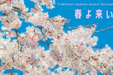 お箏で奏でる 春よ来い(松任谷由実)