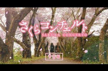 【予告編】さくらコンチェルト