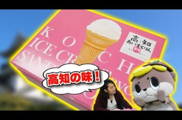 絶対喜ばれる高知のお土産レビュー！【高知あいすくりん風味～サンドクッキー～】