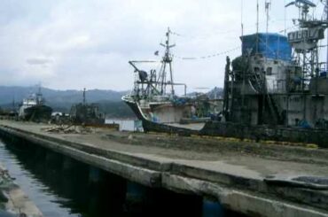 2011年5月4日（被災地）気仙沼市　薬王堂階上店周辺・気仙沼港周辺