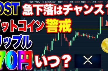 【仮想通貨】IOST上昇的中からの急下落！どうする？リップル買いました。ビットコイン警戒からの買い場はここ！！