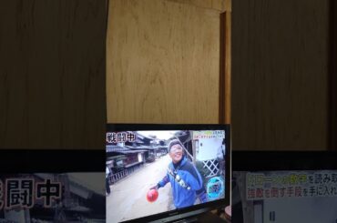 稲村亜美がELLYに撃破されて絶叫❗