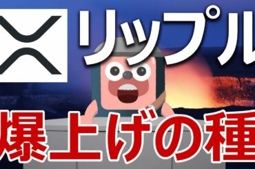 リップル(XRP)は価格変動ゼロ機能で爆上げするか予想します