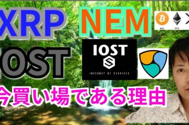 【仮想通貨BTC, ETH, XRP, NEM, IOST, ENJ】リップル、ネム、IOST,今が買い場の理由