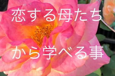 ドラマ　恋する母たちから学べる事　カウンセラー　薬剤師が伝える心と身体の本当の話し