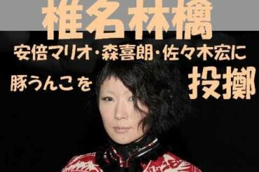 椎名林檎氏、安倍マリオ・森喜朗・佐々木宏、三馬鹿の日本崩壊悪行に憤慨。野村萬斎氏とともに静かに立ち上がる。