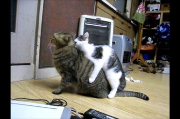 男同士。　改訂版。