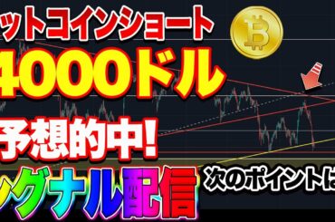 【仮想通貨】BTCショート完全的中！爆益シグナル配信！ENJコインは買いチャンス？自動売買システムは勝手に5万円増えてました！