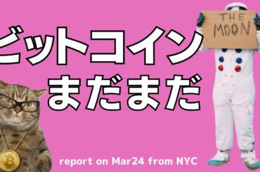 🙃ビットコインまだまだ🙃BTC,ETH,LTC,BCH,BMB,ENJ📈🏃‍♀️🏃‍♂️🏃‍♀️トータルマーケットキャップ解説🔥