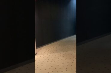 初めてのつくばYou World  シネマプレックスで天外者観ました❣️