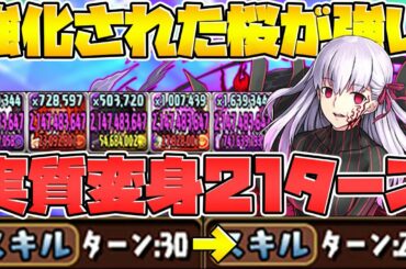 強化された間桐桜ループで裏魔廊攻略！全ての要素が強化された！弱い要素少なめ！【パズドラ】