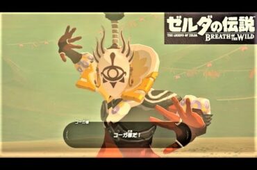【コーガ様戦　イーガ団総長】攻略 ゼルダの伝説 ブレスオブザワイルド　"Master Kohga" BREATH OF THE WILD