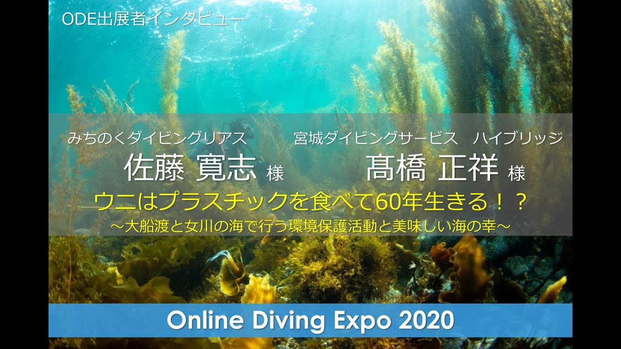 ウニはプラスチックを食べて60年生きる！？〜大船渡と女川の海で行う環境保護活動と美味しい海の幸