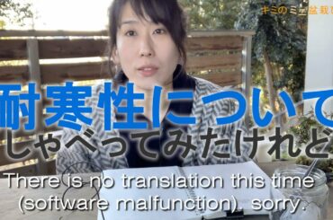 お時間と心に余裕のある方はご覧ください【キミのミニ盆栽びより】I couldn't add a translation due to a software failure. sorry.