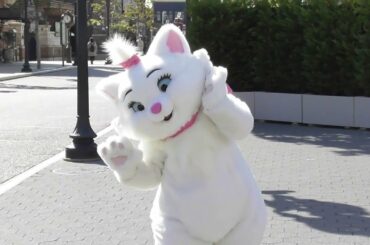 Jumping Marie マリーちゃん目まいをおこす at Disneyland Tokyo 東京ディズニーシー・グリーティング Aristocats