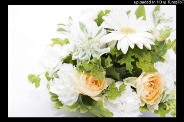 詩人と私/フランク・ミルズ/Frank Mills/ぴよぴよちゃんと連弾/103