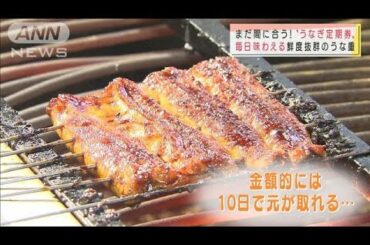 “うなぎのサブスク”登場　毎日1回　月額3万3000円(2021年3月26日)