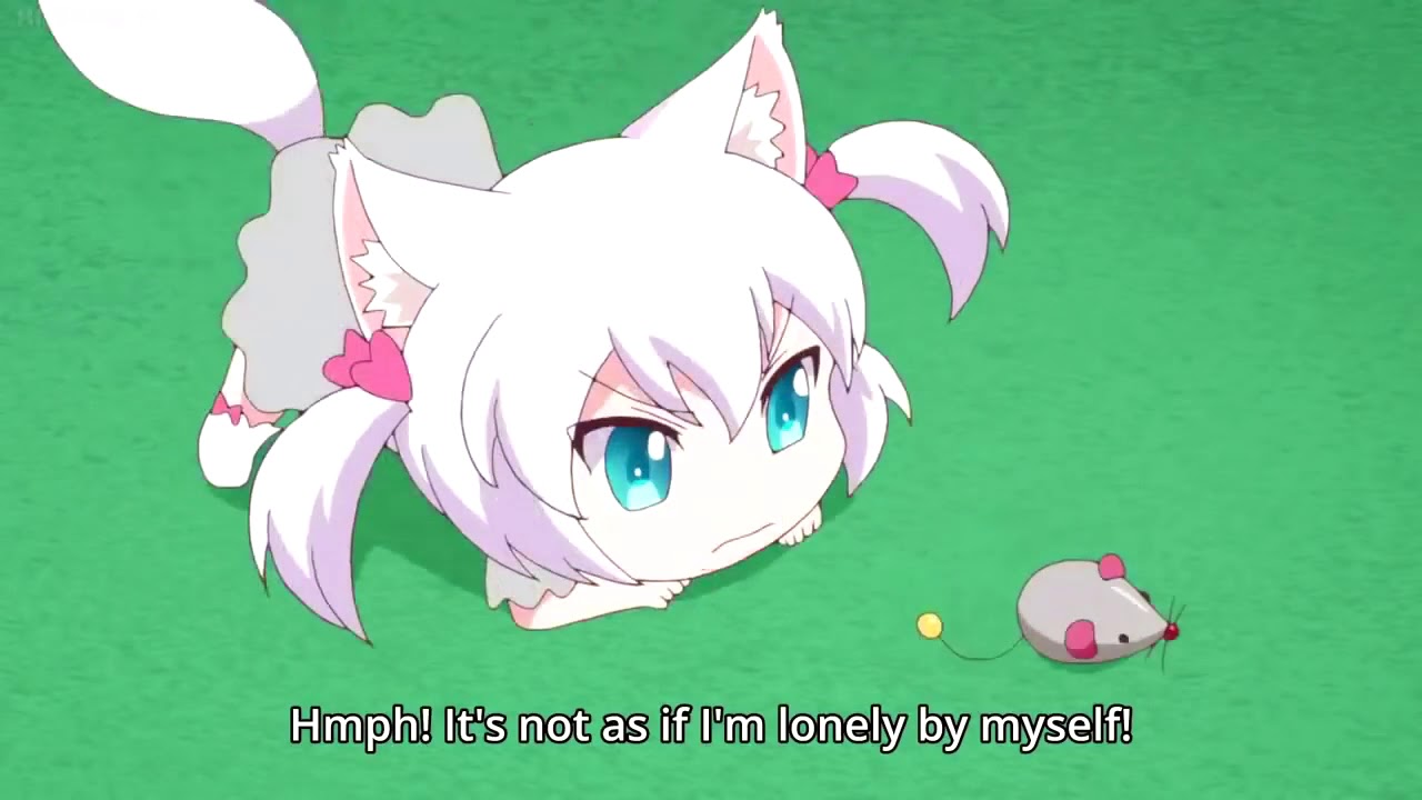 猫アニメ Full Episodes