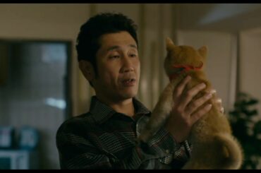 映画『柴公園』特報