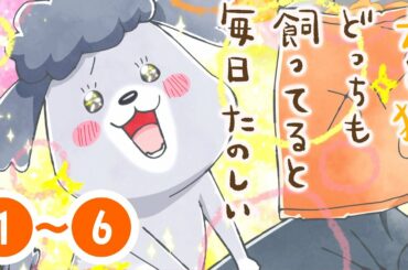 【第1〜6話】犬と猫どっちも飼ってると毎日たのしい 2021年4/30（金）まで！【公式アニメ】